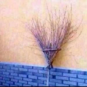 Meet your Posher, Chassidy